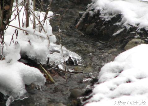 冬至北方饺子南方汤圆的习俗,冬至吃饺子全国美食风俗