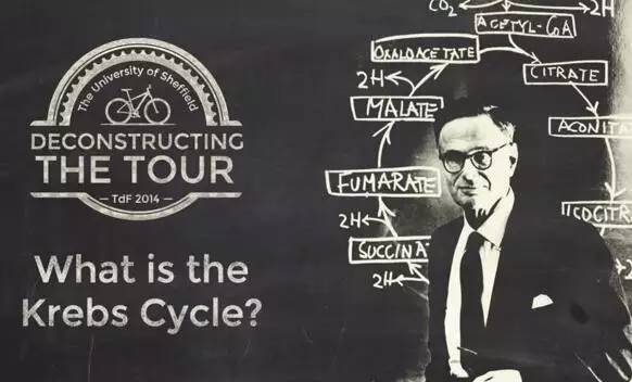 他被纳粹*害迫**，“玩拼图”玩出诺贝尔奖，打脸《Nature》