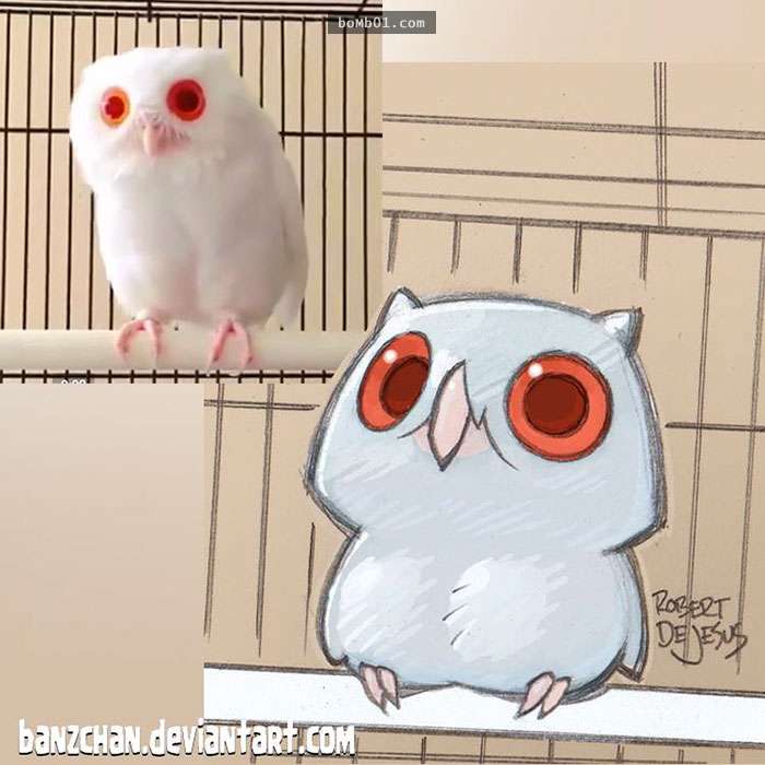 手绘宠物和主人随手画,巧手绘动物