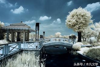 冲冠一怒为红颜陈圆圆的典故,冲冠一怒为红颜陈圆圆的悲惨一生