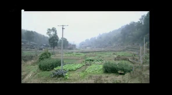 一头猪重200千克几头猪质量是1吨,一头猪重1000克10头这样的猪重多少