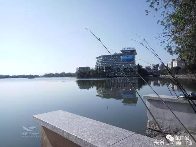 寒潮来袭莆田天气,莆田断崖式降温来袭