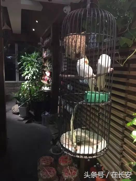 西安圣诞好看又好吃的餐厅,西安圣诞节情侣餐厅