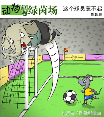 爆笑动物足球赛视频,动物足球大赛搞笑漫画