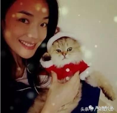 又到一年圣诞节完整视频,又到一年圣诞节