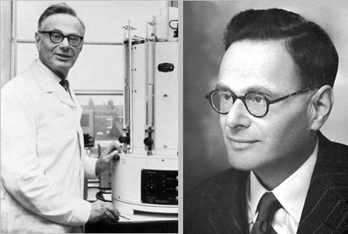 他被纳粹*害迫**，“玩拼图”玩出诺贝尔奖，打脸《Nature》