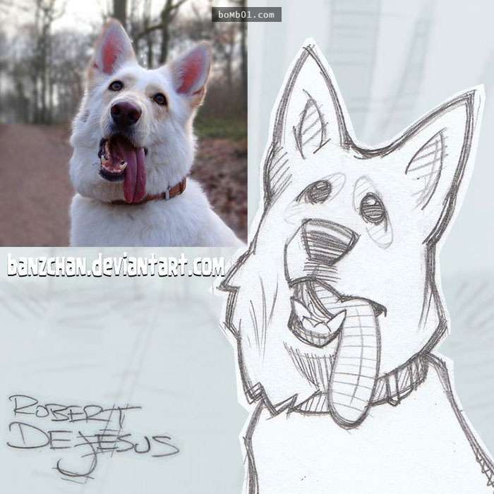 手绘宠物和主人随手画,巧手绘动物