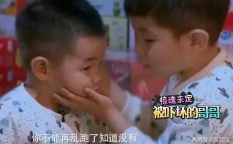 爱安吉做任务是真的吗,爱安吉是什么