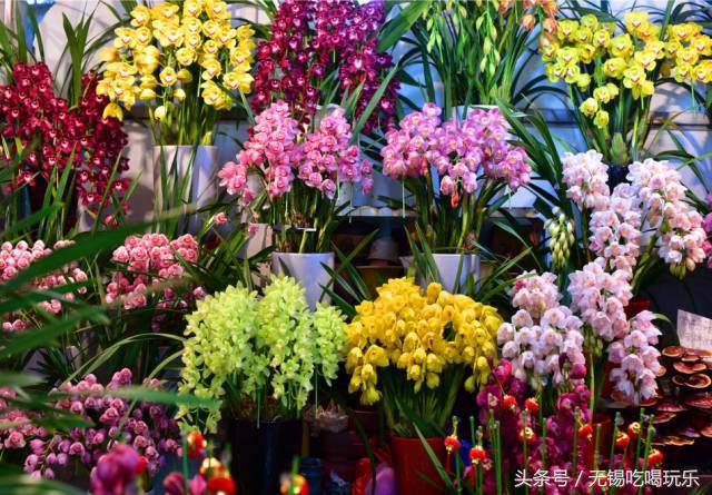 年货哪家靠谱呢,中国年货批发市场前十名