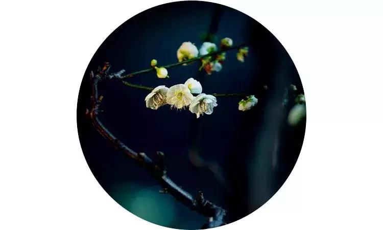 任尔东西南北风全诗隶书作品,任尔东西南北风上一句是啥