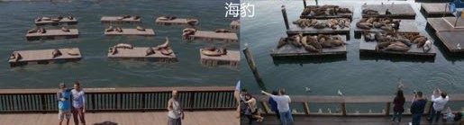 ps4游玩教程,ps4海洋深处攻略