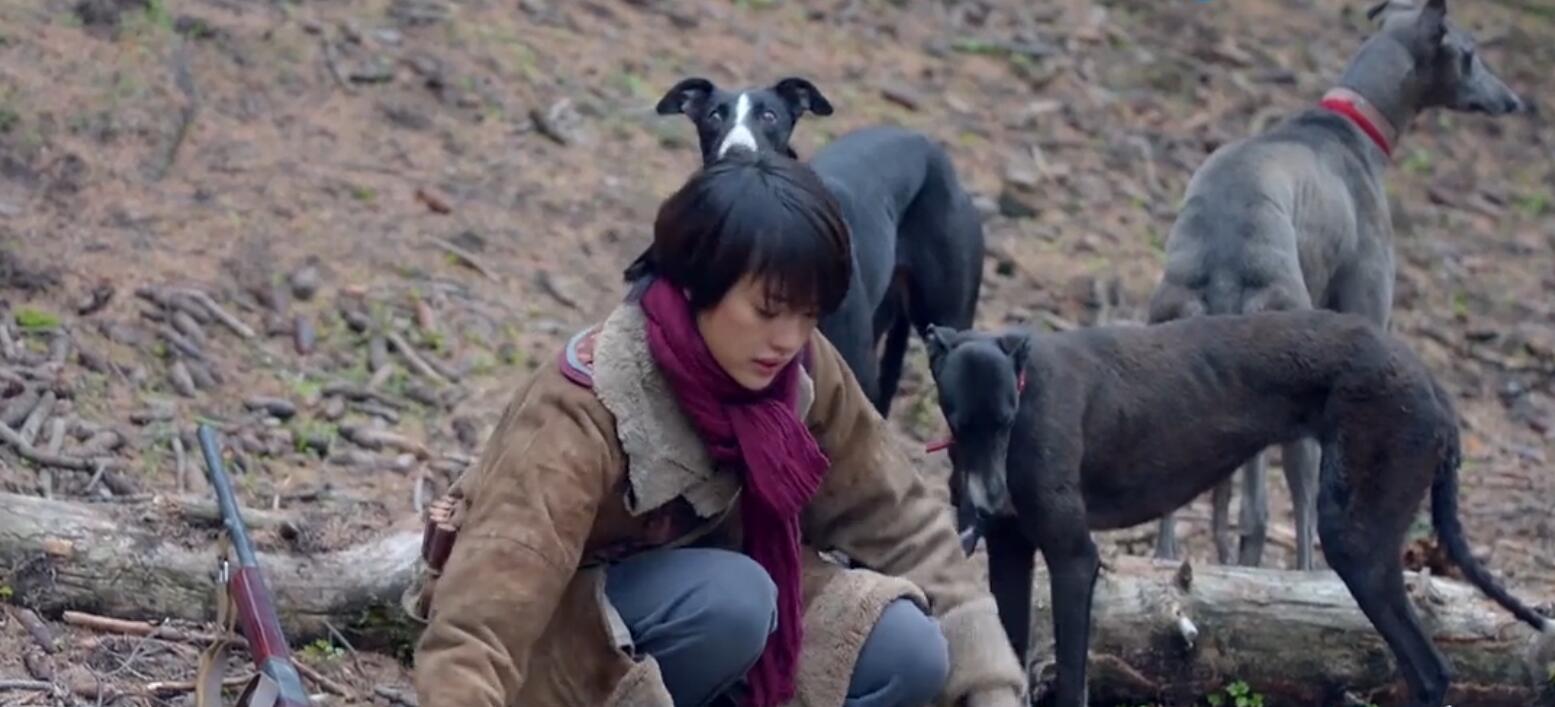 被刷屏的鬼吹灯里长腿狗狗，是濒临灭绝传说中的啸天犬？