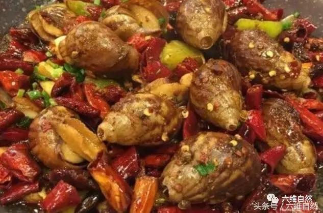 非洲大蜗牛，在非洲居然是一道不可少的美味菜式！