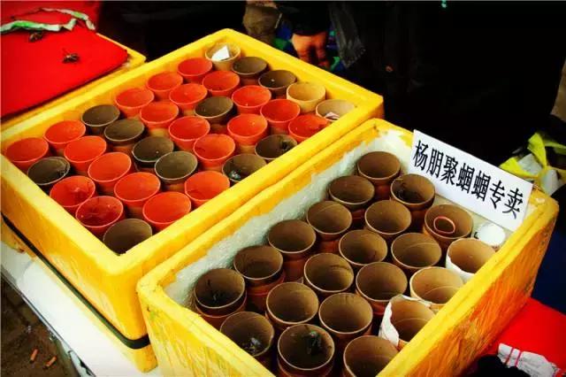 天津淘宝街搬哪去了,天津淘宝街地址有哪些