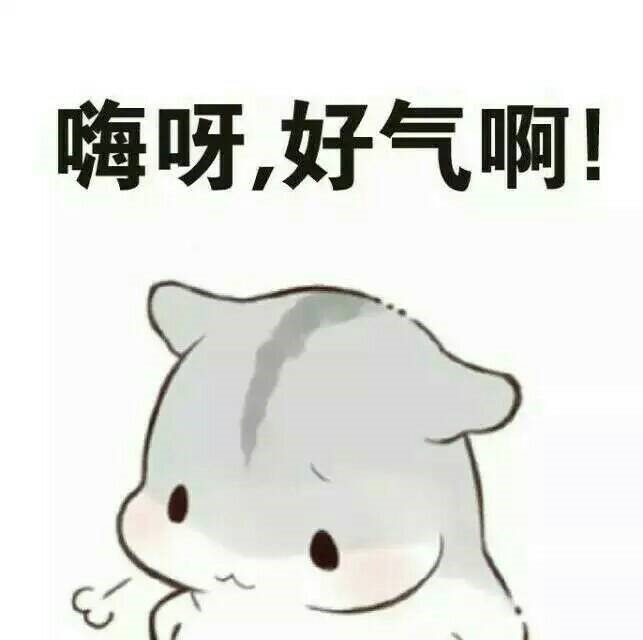 大学生的必备表情包,大学生最爱发的表情包