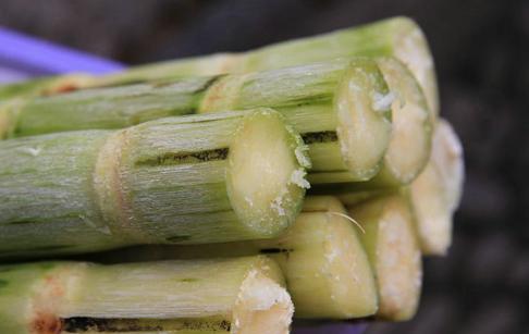 慢性咽炎止咳的方法小妙招,咽炎嗓子痒最快的缓解方法