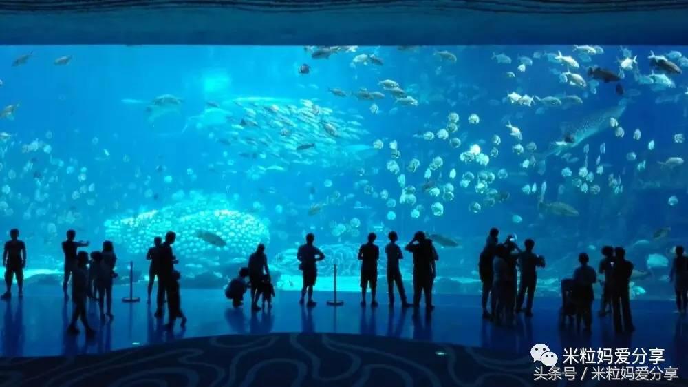 广州亲子游5天自由行不累,适合带宝宝去的亲子游