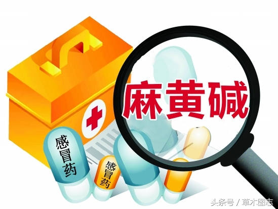 野生接骨草的作用,骨节草能吃吗