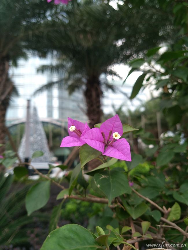 金立m2017怎么样值得购买吗,金立手机m2017有什么缺点呢