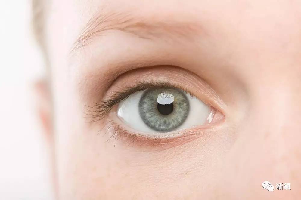 连范冰冰的脸都驾驭不了欧式平行大双，为什么？