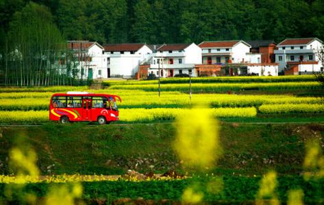 农村最流行的职业,农村最热门职业