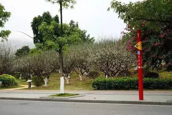 元旦跨年广州去哪玩免费,元旦去哪儿玩广州附近