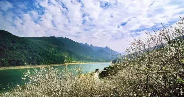 元旦跨年广州去哪玩免费,元旦去哪儿玩广州附近