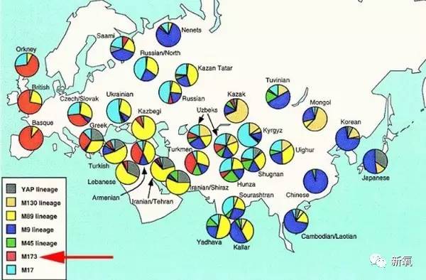 连范冰冰的脸都驾驭不了欧式平行大双，为什么？