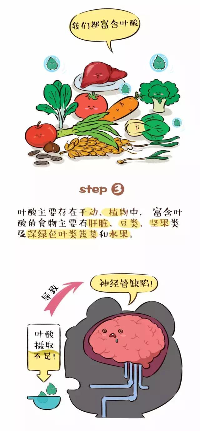 准备怀孕前多久开始吃叶酸,准备怀孕老公也要吃叶酸吗