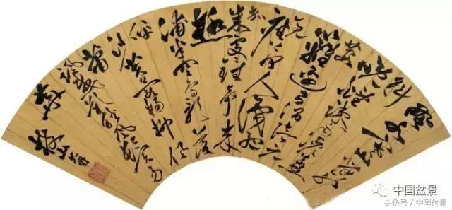 扇面文化与松柏盆景艺术欣赏