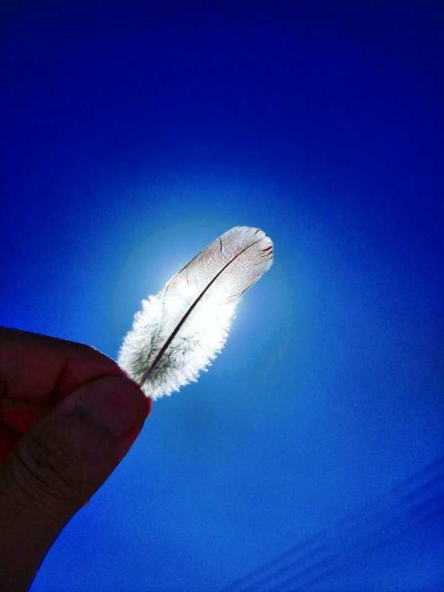 小米5拍照对比,小米5拍人像