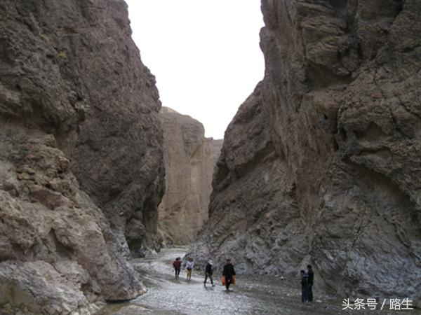 少数民族首领在头衔上加哪三个字，说明自己是“中国的”？