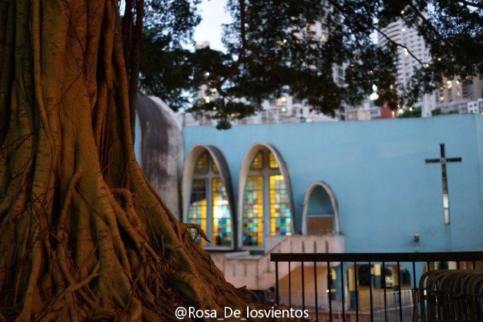 边吃边走的美食推荐,香港5日美食之旅搜罗各种美食
