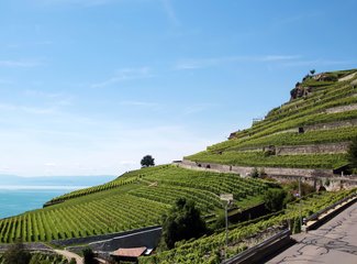 记忆里的那一抹蓝作文,记忆中的那一抹蓝色