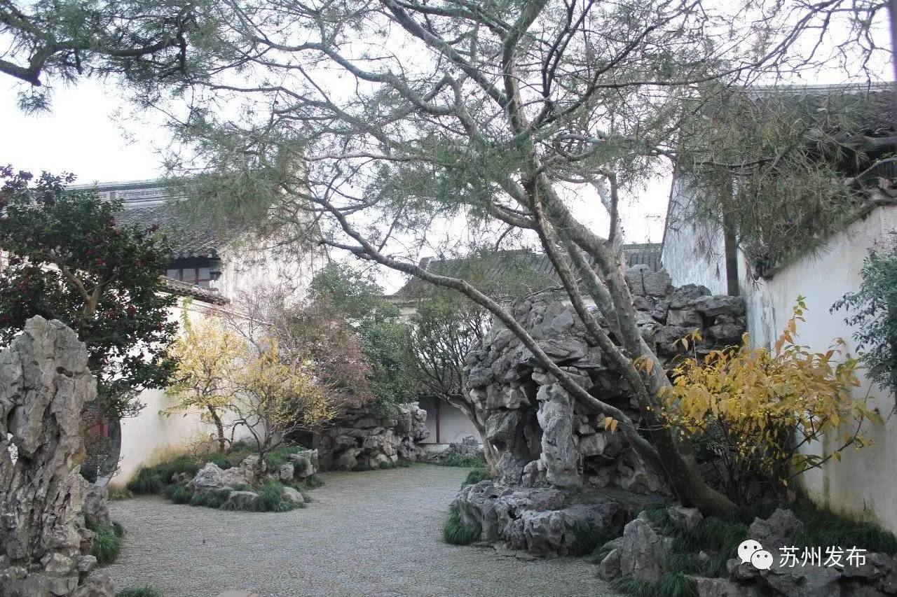 网师园里访腊梅：香密染成宫样黄……