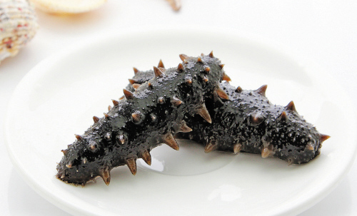 大连海参现在情况,大连野生海参价格