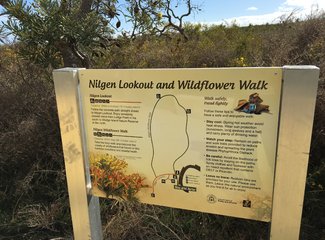 西澳珊瑚海岸3700公里自驾：卡尔巴里-猴子米娅-珊瑚湾-宁加洛珊瑚礁！