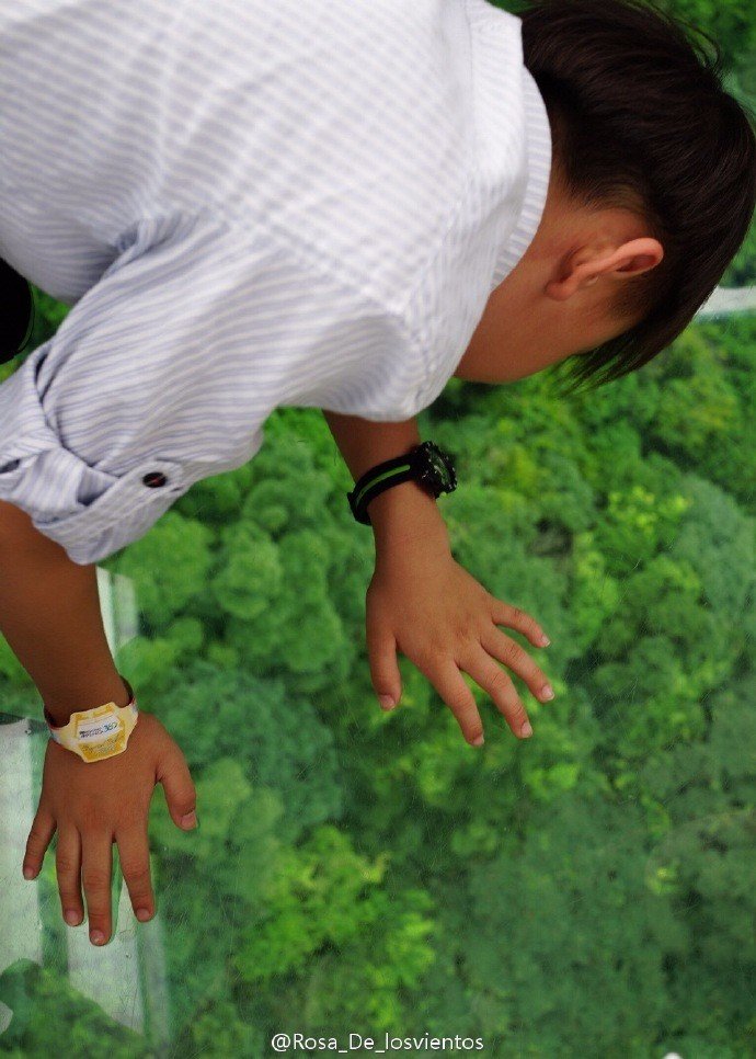边吃边走的美食推荐,香港5日美食之旅搜罗各种美食