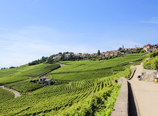 记忆里的那一抹蓝作文,记忆中的那一抹蓝色