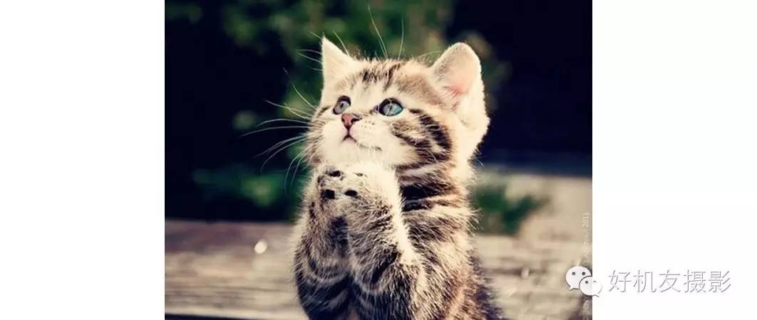 怎么拍双重曝光效果,双重曝光效果图教程