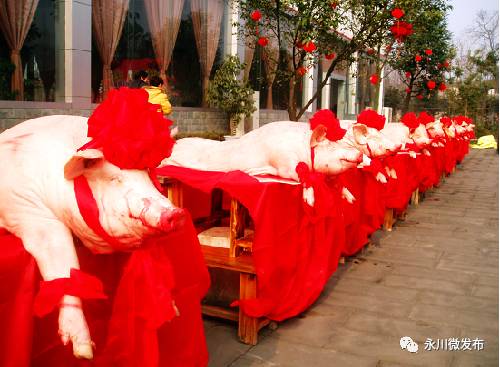 年味浓处是故乡,永川年味