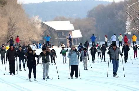 回望2016，原来我大长春这么牛