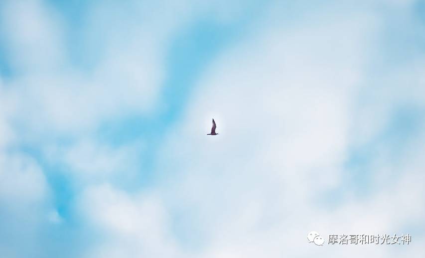 涓浗娓稿涓嶆兂鍘诲鍥界帺,鎽╂礇鍝ュ崥鐗╅