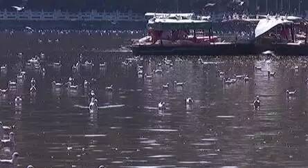 沪昆铁路贵阳到昆明段,沪昆高铁昆明到贵阳