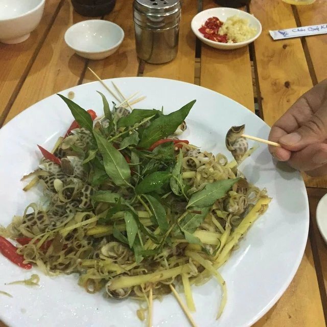 越南越美芽庄,越美芽庄是什么