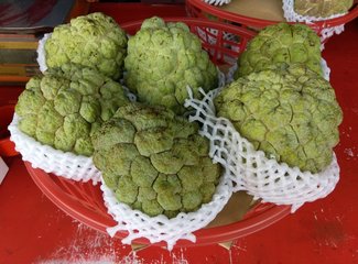 两个理科女子充满逻辑性的国庆节台湾游