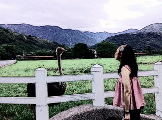 两个理科女子充满逻辑性的国庆节台湾游