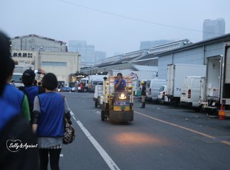 带着24个月小囡十一寸又峡寻密+东京+镰仓伊豆+横渡骏河湾观富士山+附详细交通攻略