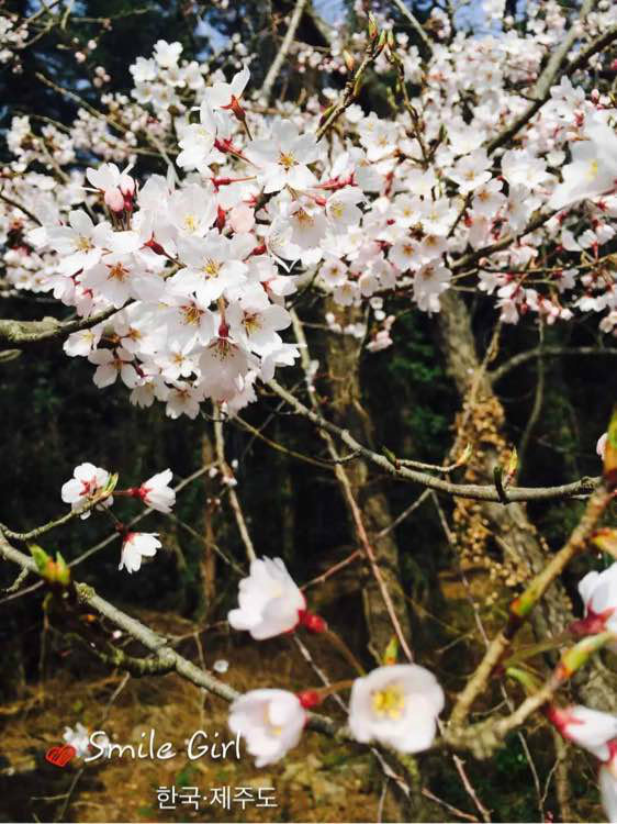 回忆往年的旅行,回忆今年的总结