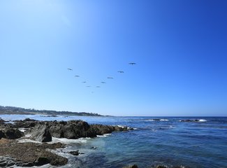 十一20日美西纵横驰骋4200m（黄石-LV-优胜美地-SF-一号公路-SD-LA